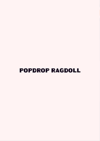Popdrop ragdoll