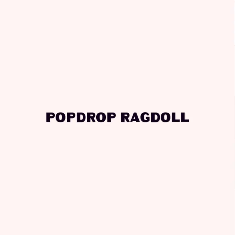 Popdrop ragdoll by @PopdropMePadShesaa