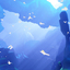 Sky263 avatar