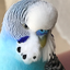 Efeoglu avatar