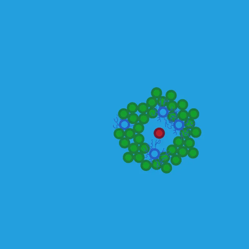 You can:drag cells,duplicate cells=tap by @Adamko3611
