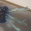 Jellyfish_blue avatar
