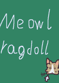 Meowl ragdoll