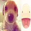 randommmm avatar