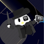 Cacatua_fino avatar