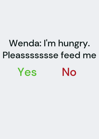 Feed Wenda(unfinished)