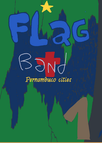 Flag band Pernambuco cities 1