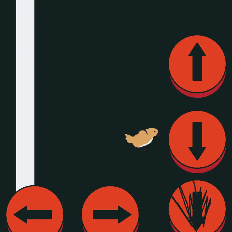 Bird life simulation by @ruhs