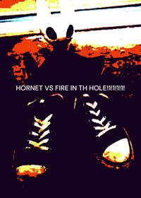Hornet vs fire in the hole