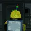 rfz3 avatar