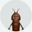 TuaVuela786 avatar