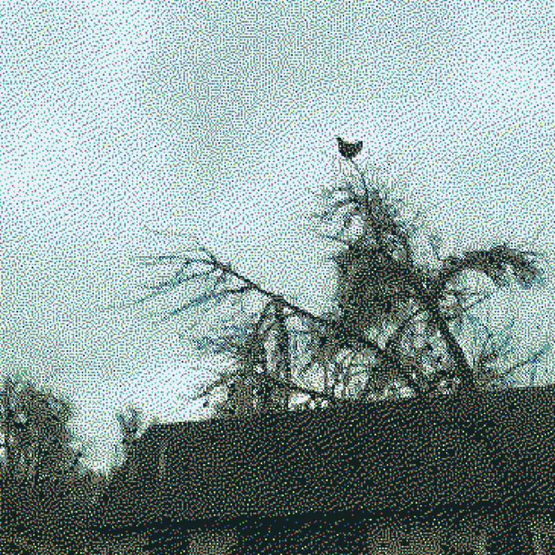 Chicken screaming on the tree by @Limenix