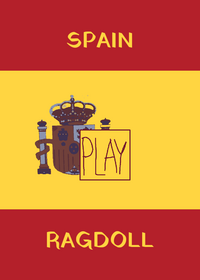 Spanish Ragdoll!