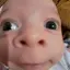 im_david avatar