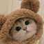 _MooiKe-th1s_pookie-0_o avatar