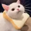 LoafTheCat avatar