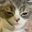 EMA_thegorl avatar