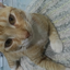 francisco_fla_brazil avatar