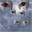 cocofantole avatar