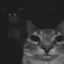 Endless_Face avatar