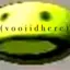 VooiidHere avatar
