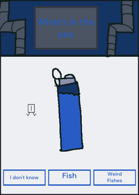 Water bottle the questioning