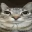Kavin_120 avatar