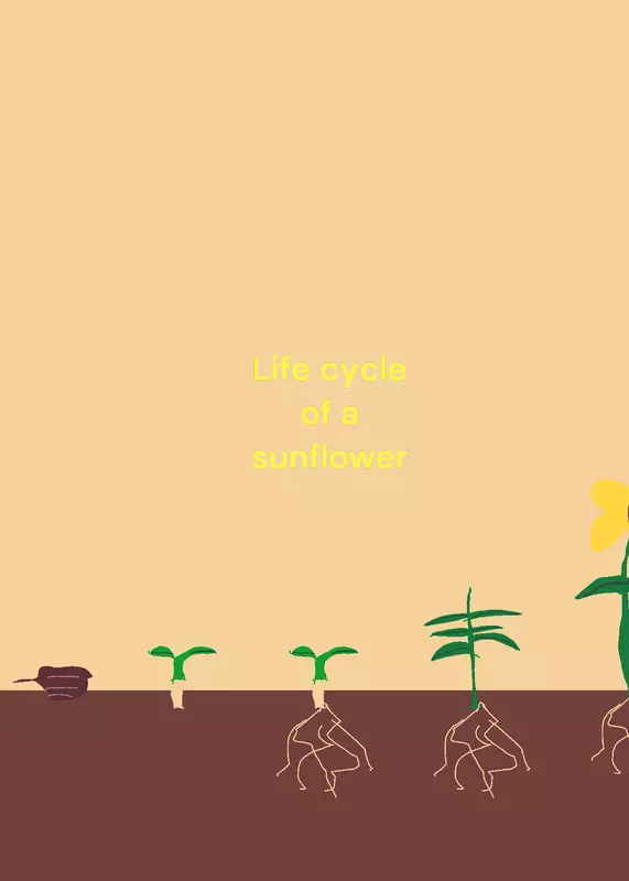 Game by @S_O_T_A_R_K