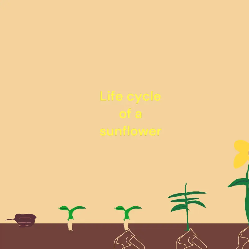 Game by @S_O_T_A_R_K