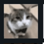 vit08728 avatar