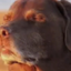 yayalazykid avatar