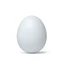 EGG_STUDIOS avatar