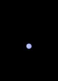 What if a pulsar found a Black hole