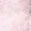 _doll4tte avatar