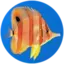 p1x3lx_ avatar