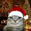 kenneth_18274 avatar