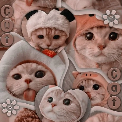 @mini54lamb67cutie98pie