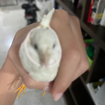 @KYNXBQUAILS