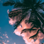 SallHrvatinYT avatar