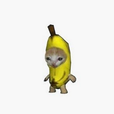 @bananacat2