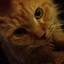 myheart_d avatar