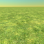 grassss avatar