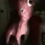 the_fatworm123 avatar