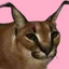 premioxd avatar