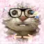 xXM00NY4YXx avatar