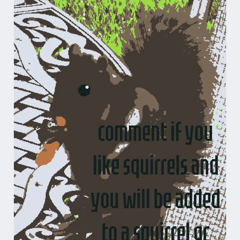 Squirrel GC by @sqwirrel