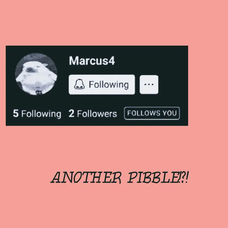 Game by @Pibble_washed