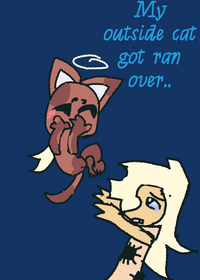 My outside cat got ran over…