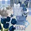 lisa_mariana_likes_blue avatar