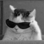 just_sarahhh avatar
